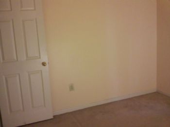 thegem profile photo