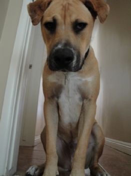 Apresley profile photo