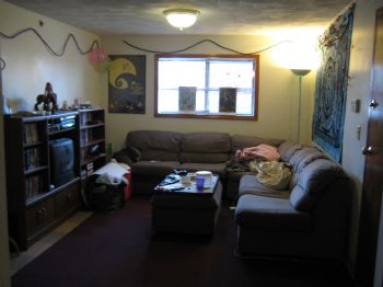 kittykat137 profile photo