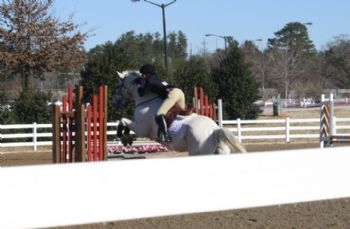 zzzanone profile photo