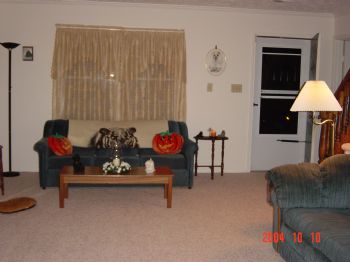 ibcrip profile photo