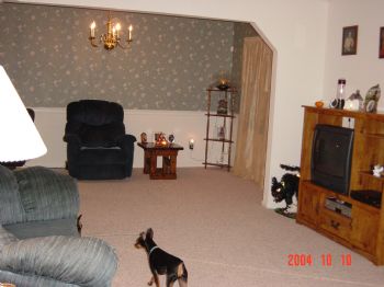 ibcrip profile photo