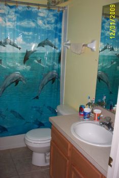 webdiva profile photo