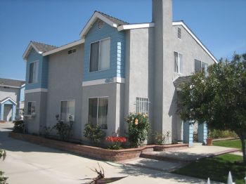 jhnnguyen profile photo