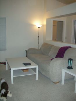 azzure11 profile photo