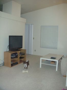 azzure11 profile photo