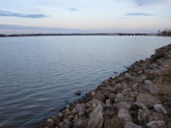 brookie23 profile photo