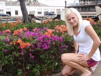 msbutterfly profile photo