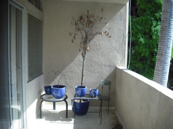 Stef31 profile photo