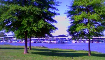 Diane Lynn profile photo