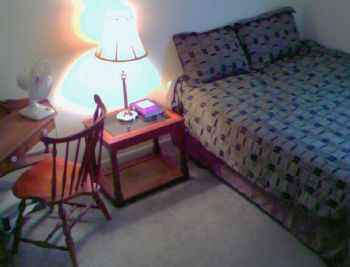 Diane Lynn profile photo