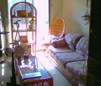 Diane Lynn profile photo