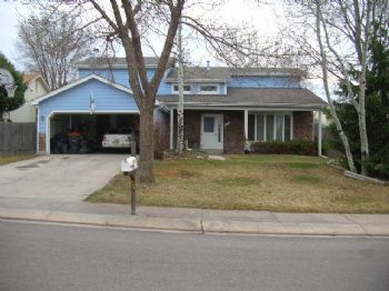 DaveBrodie profile photo