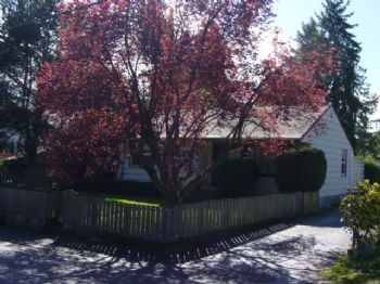 jerusel profile photo