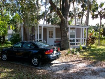 steeler_fan1 profile photo