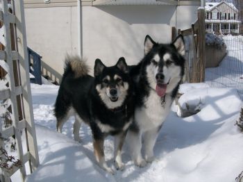 DDPhotoz profile photo