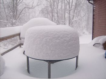 Fearthespear21 profile photo