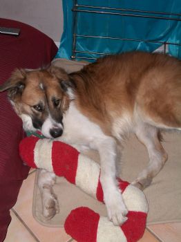 rainyeyez profile photo