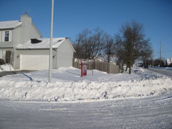 Shadow65248 profile photo