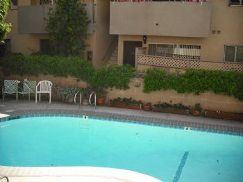 31stef profile photo