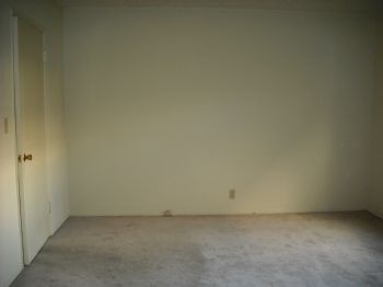 31stef profile photo