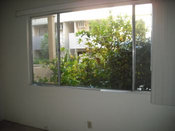 31stef profile photo