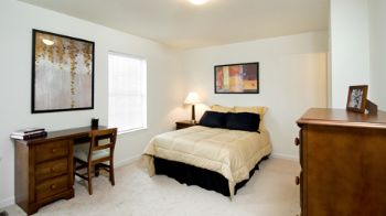 DSchmelt profile photo