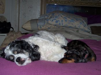 BettyP profile photo