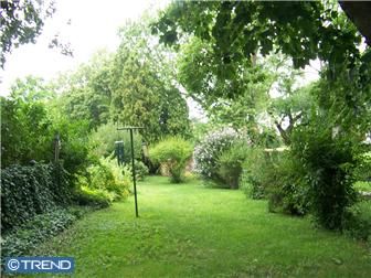 demitassedre profile photo