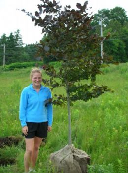 amykuhl profile photo