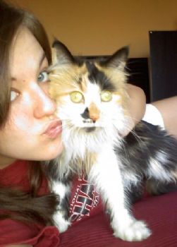 mlb439 profile photo