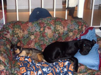 rlsowell4 profile photo