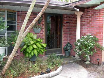 clearwateric profile photo