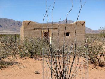 clintnm profile photo