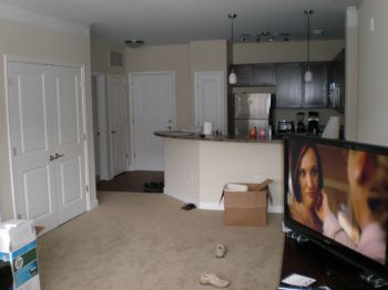 stv9002 profile photo