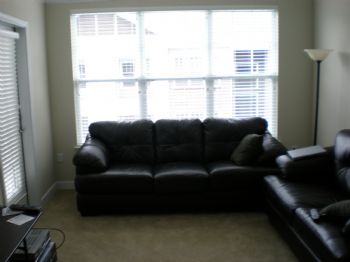 stv9002 profile photo