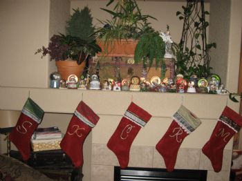 scsurfsc profile photo