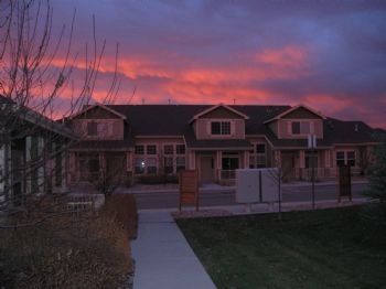 scsurfsc profile photo