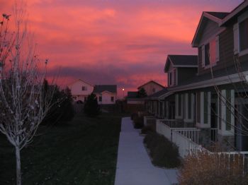 scsurfsc profile photo