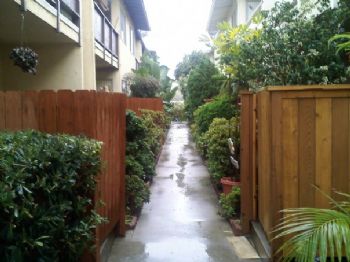 emtaustin profile photo