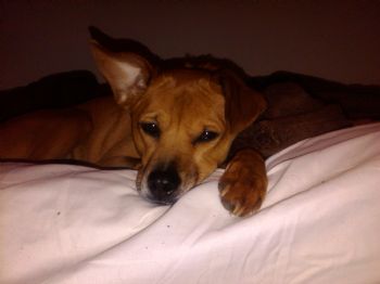 kjmumaw profile photo