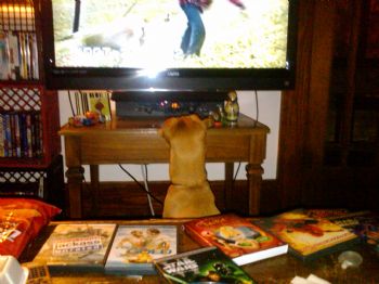 kjmumaw profile photo