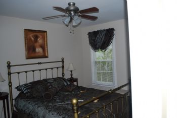 davidtsx profile photo