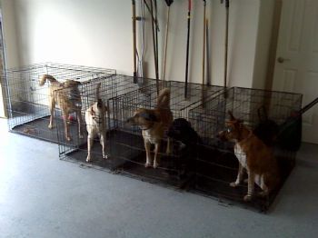 mfpplante profile photo