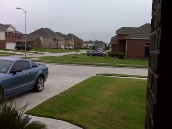 mfpplante profile photo