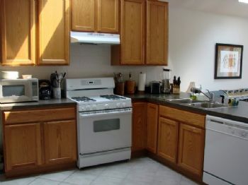 sasf05 profile photo