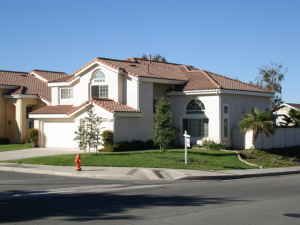 csirback profile photo