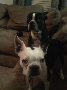 no-drama profile photo