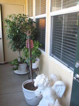 DIANNE123 profile photo