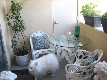 DIANNE123 profile photo